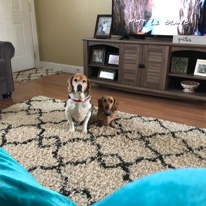 Meet your Posher, Jamie